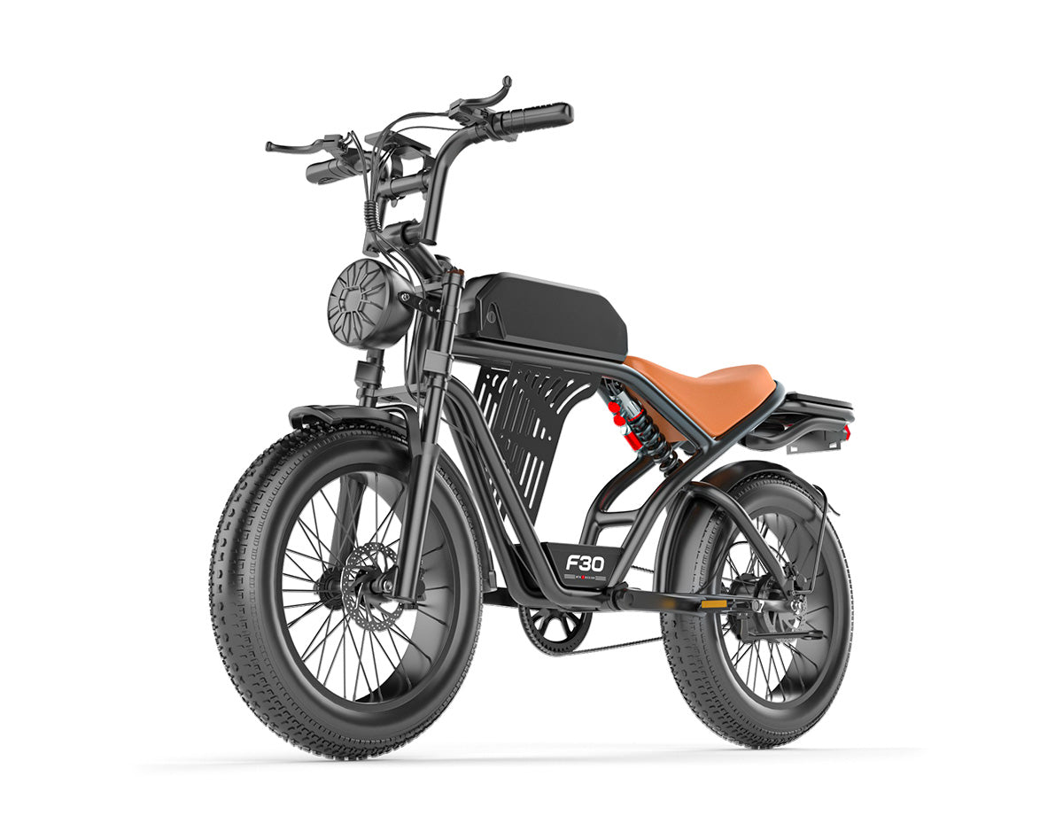 post malone electric bicycle Valen Rev+ Fat Tire Bike - Grateful Dead and is equipped with 24 rims and 3 tires What is being done about