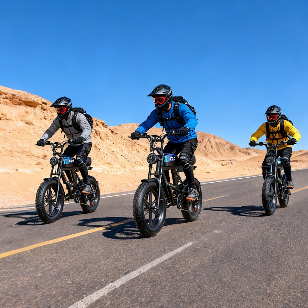 PostJoy T20 Electric Bike