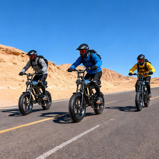 PostJoy T20 Electric Bike
