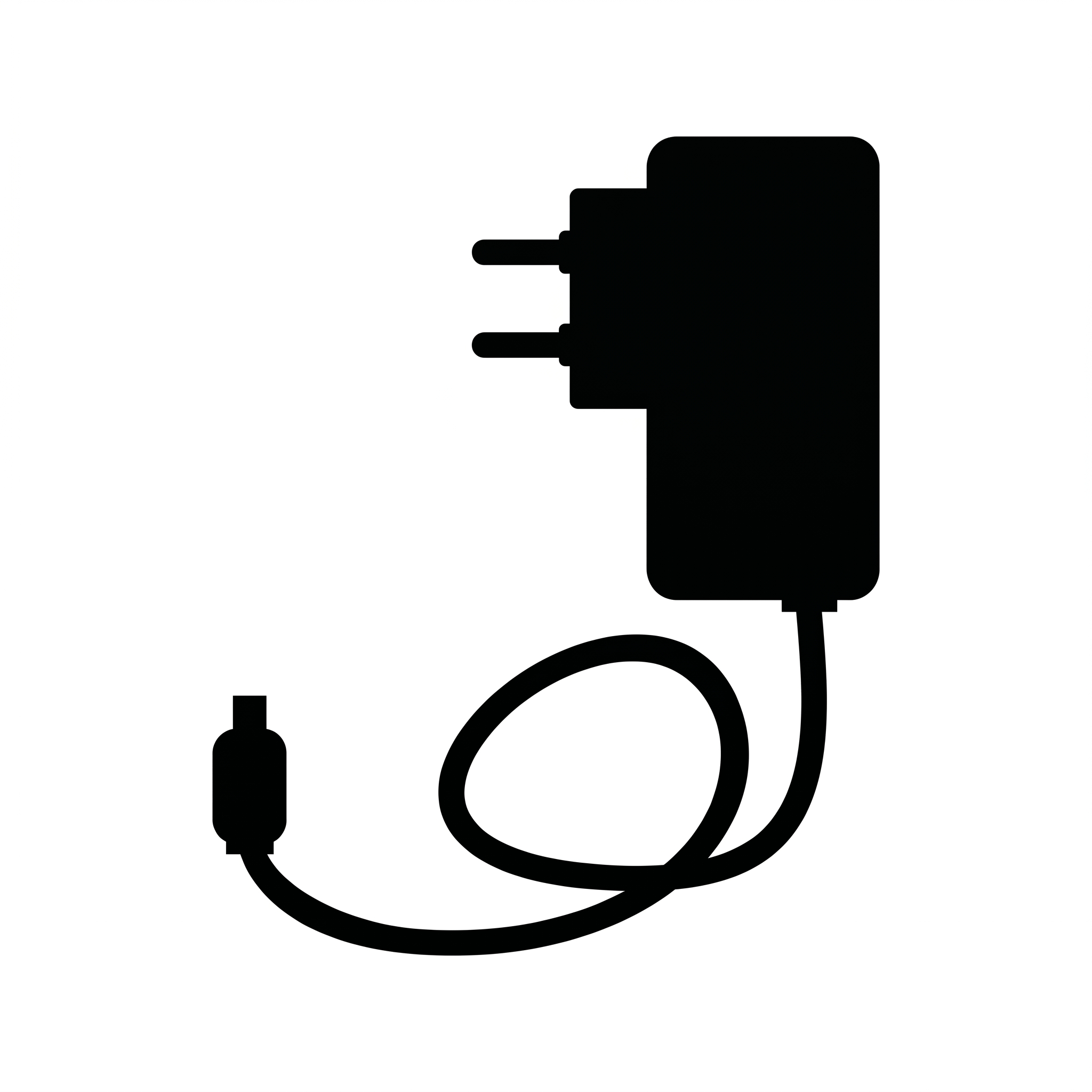 PostJoy Replacement Charger