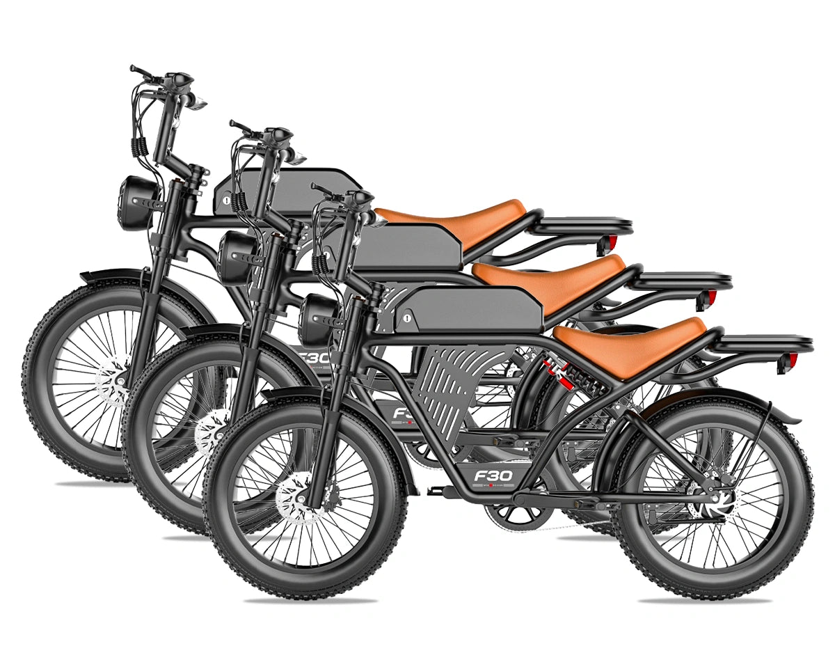 PostJoy F30 Moped Style Ebike