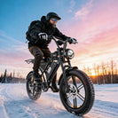 PostJoy S9 Fat Tire Electric Bike
