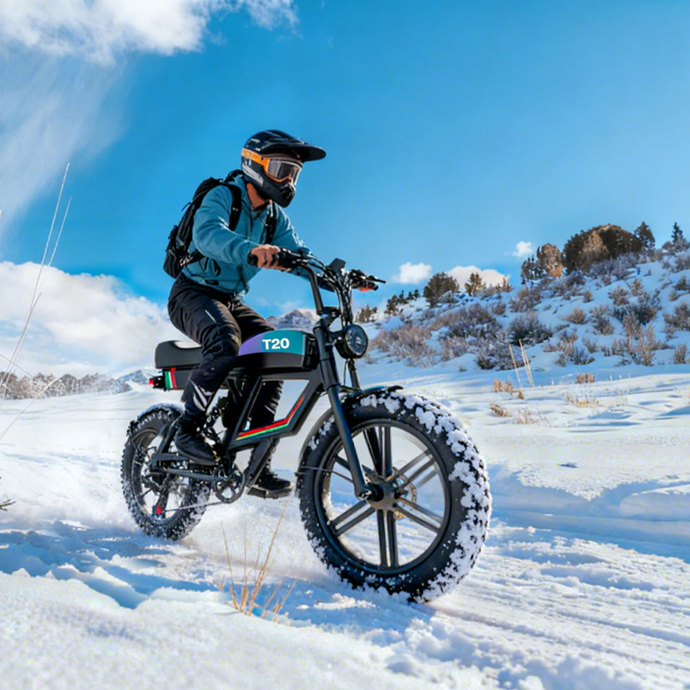 PostJoy T20 Electric Bike