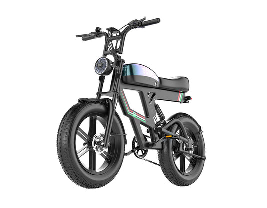 PostJoy T20 Retro Fat Tire Electric Bike