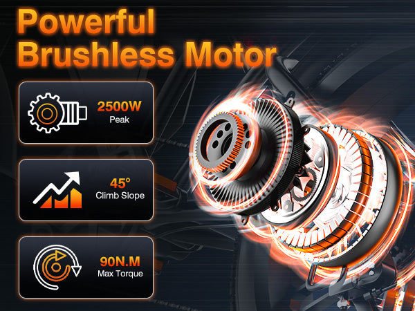 2500W Peak Motor with 90Nm Torque