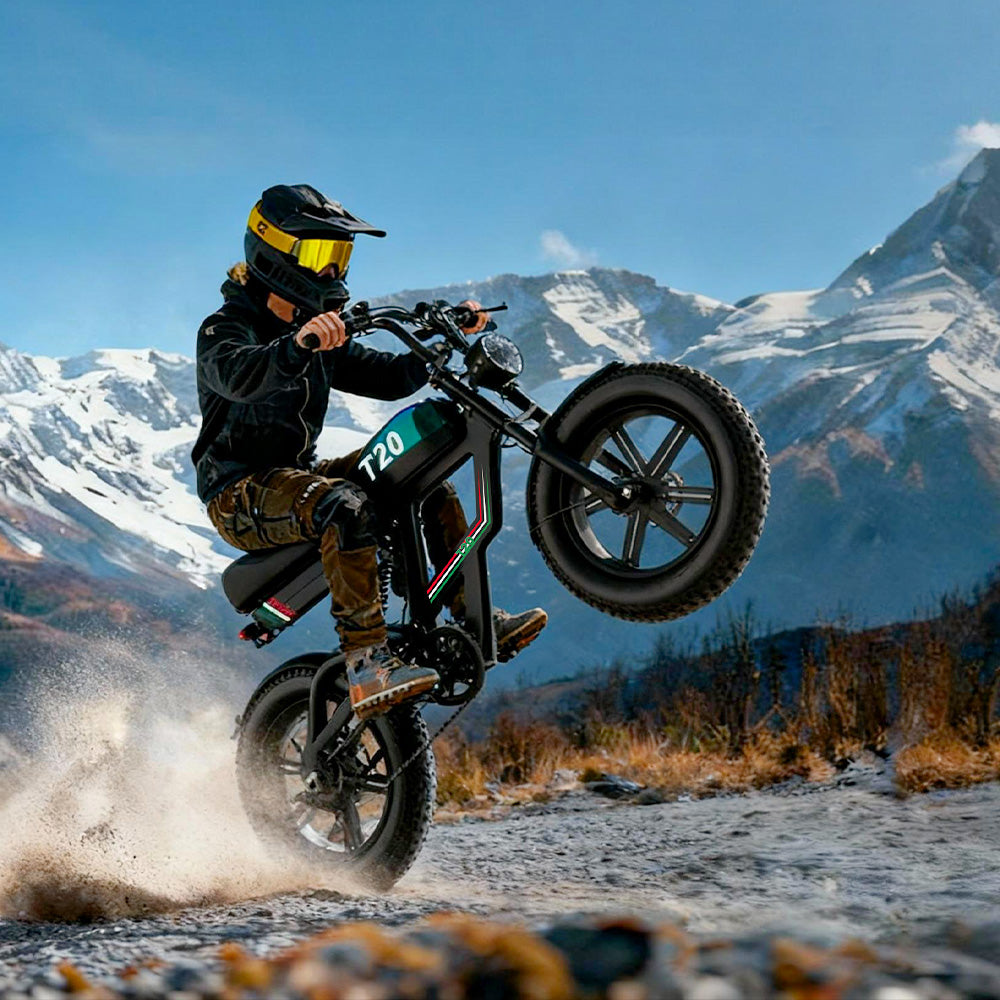 PostJoy T20 Electric Bike