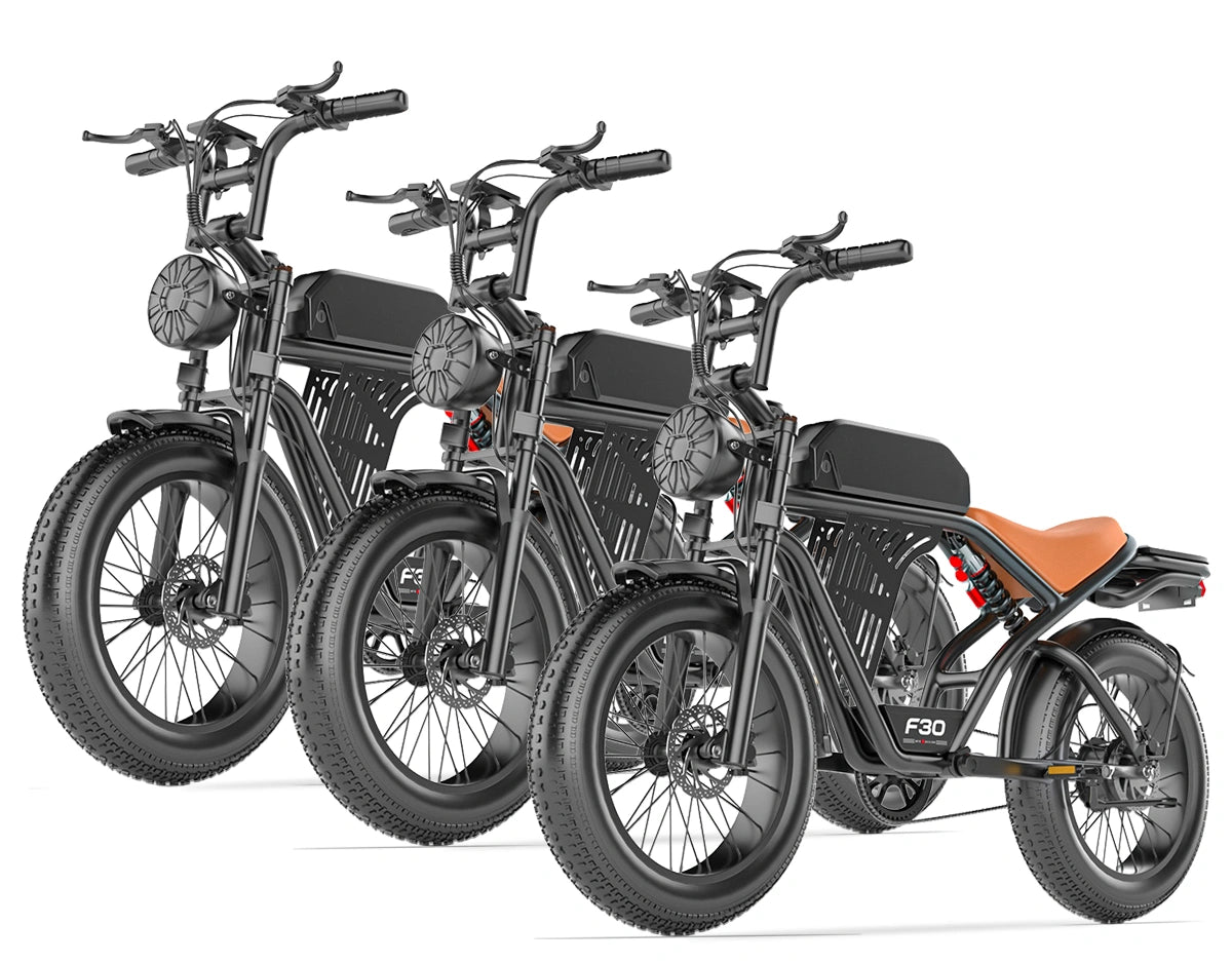 PostJoy F30 Moped Style Ebike