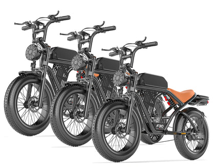 PostJoy F30 Moped Style Ebike