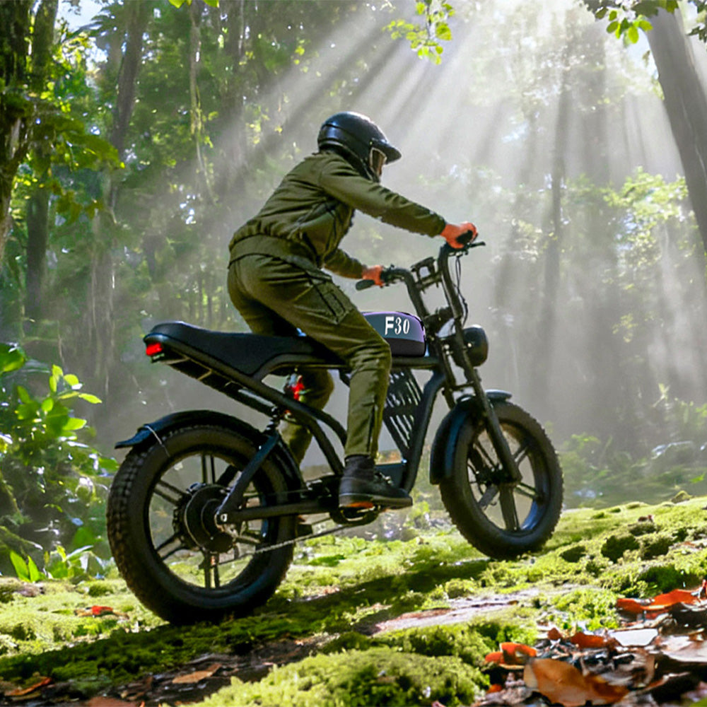 PostJoy F30 Electric Bike