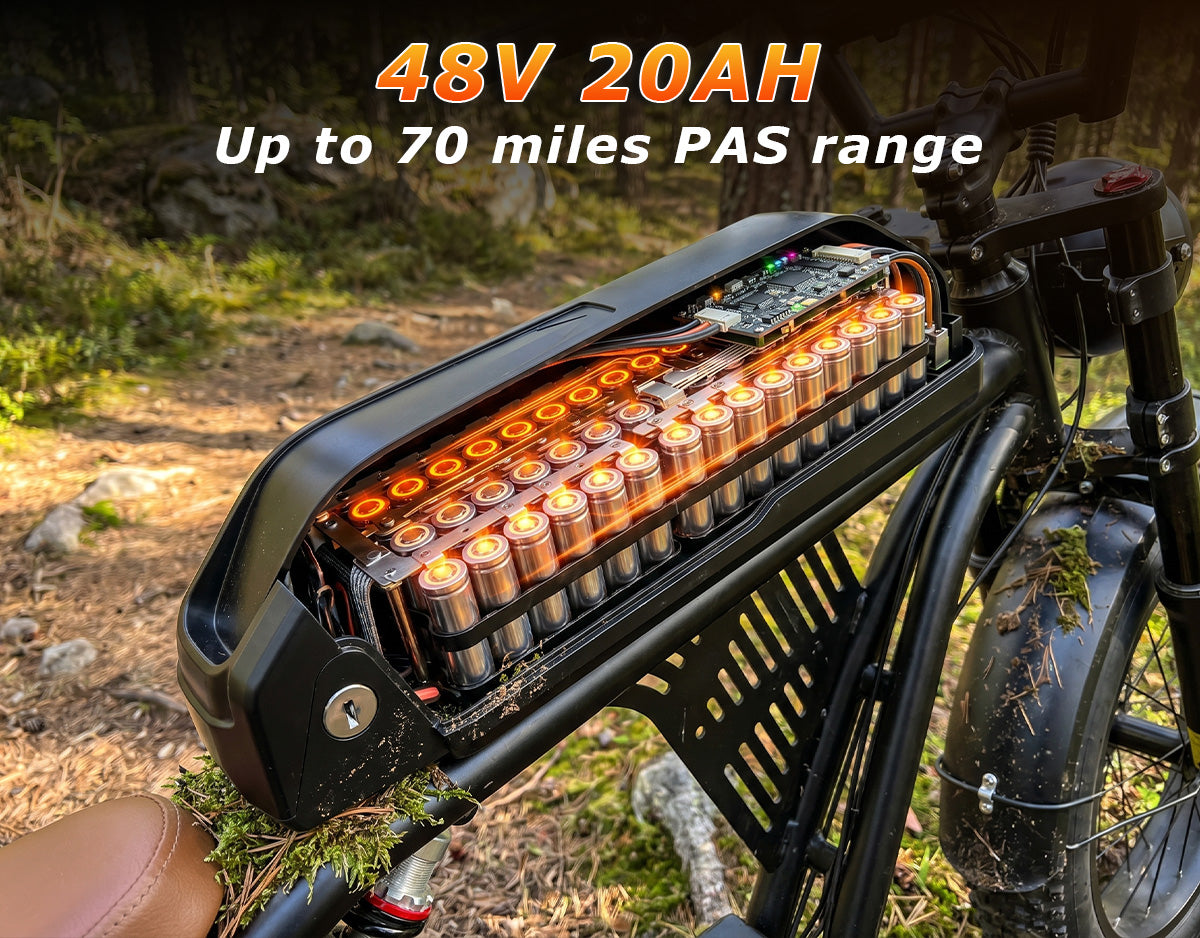 48V 20Ah Removable Battery