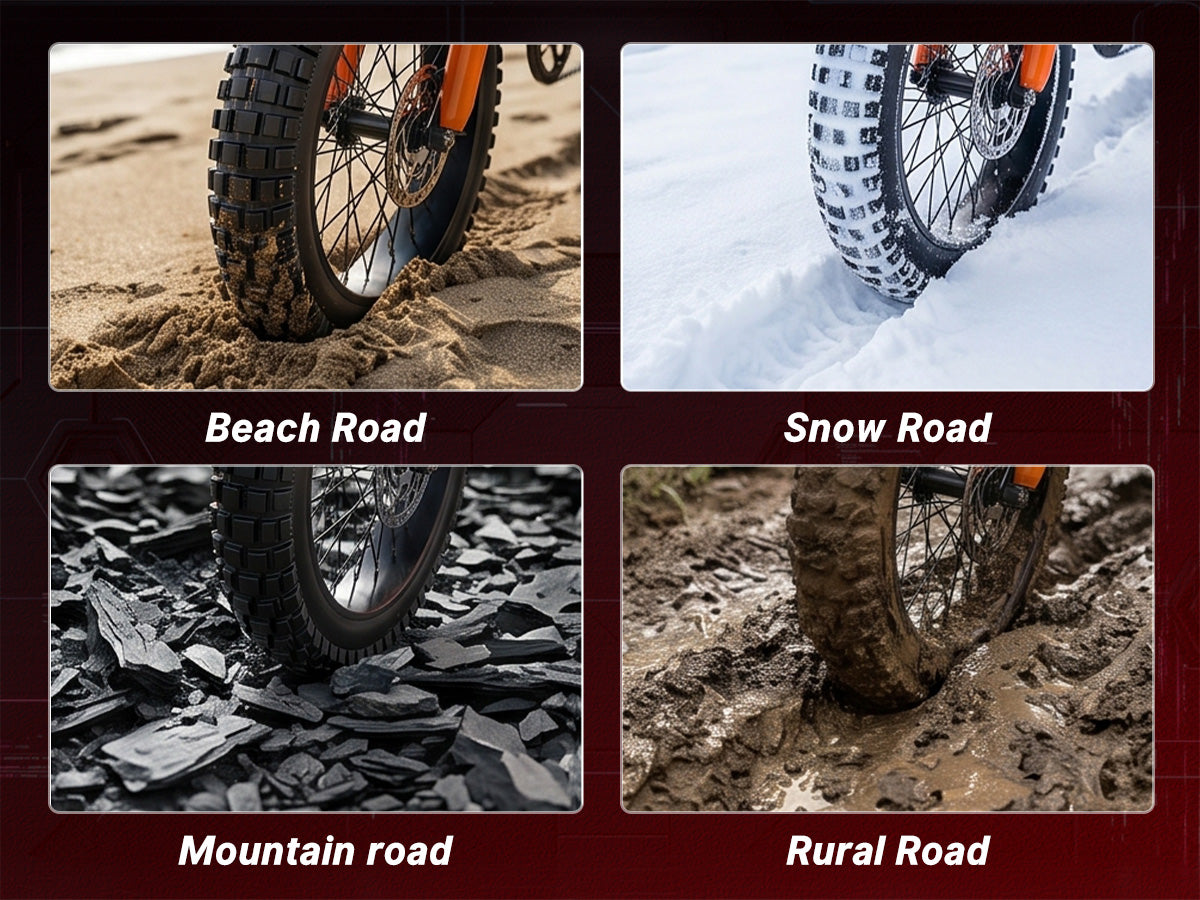 Ready for Multiple Road Conditions