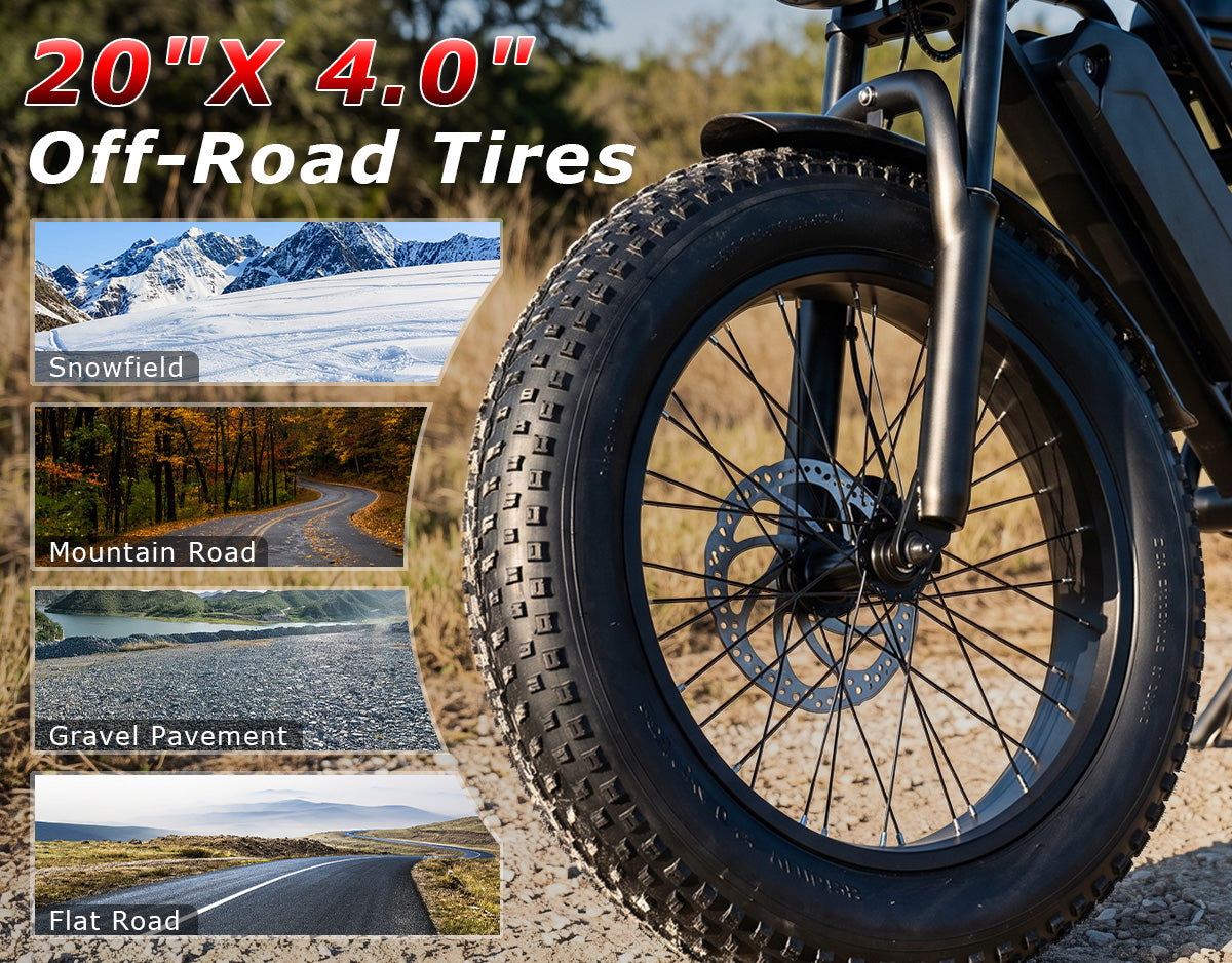 20" x 4.0" Fat Tires